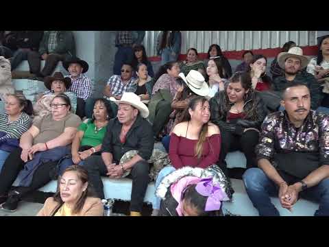 ¿Existen festividades o eventos especiales relacionados con Carmen?